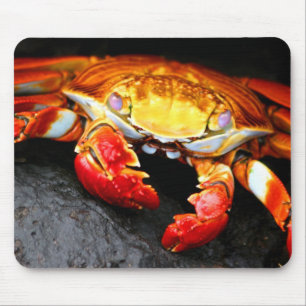 Galapagos Crab Mouse Pad