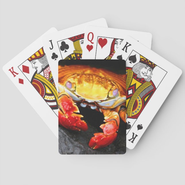 Galapagos Crab Playing Cards (Back)