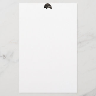 Galápagos/Galapagos Giant Tortoise Stationery