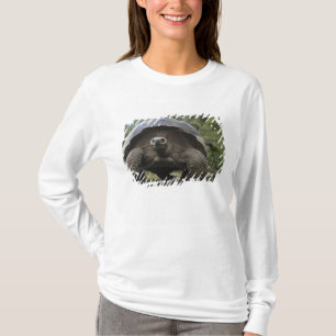Galapagos Giant Tortoises Geochelone T-Shirt