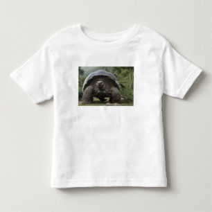 Galapagos Giant Tortoises Geochelone Toddler T-Shirt