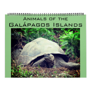 galapagos islands animals 2024 large calendar