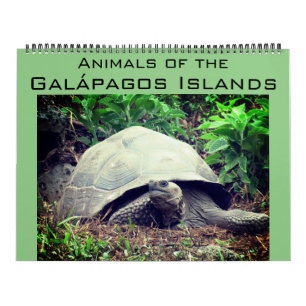galapagos islands animals 2026 large calendar