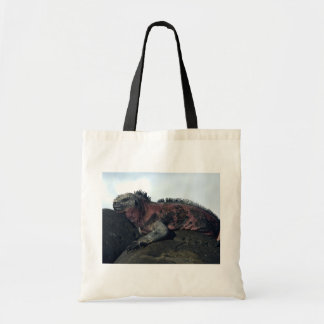 Galápagos Islands Black Iguana Tote Bag