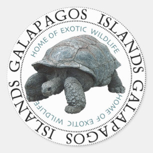Galapagos Islands Fish Tortoise Stickers