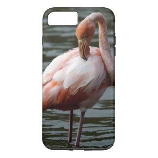Galapagos Islands Flamingo Case-Mate iPhone Case