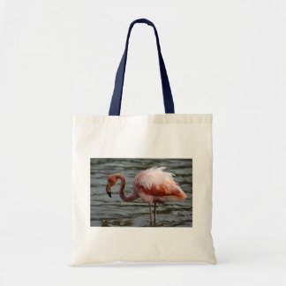 Galapagos Islands Flamingo Tote Bag