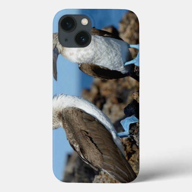 Galapagos Islands, Isabela Island Case-Mate iPhone Case (Back)
