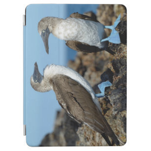 Galapagos Islands, Isabela Island iPad Air Cover