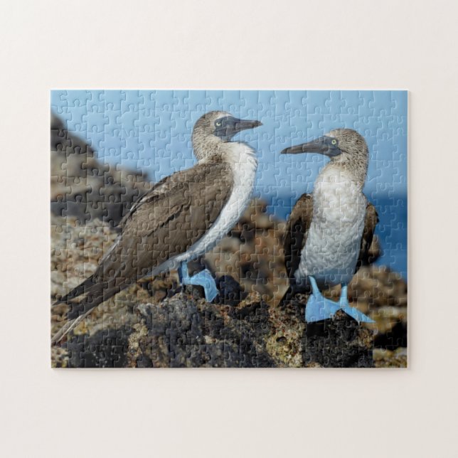 Galapagos Islands, Isabela Island Jigsaw Puzzle (Horizontal)