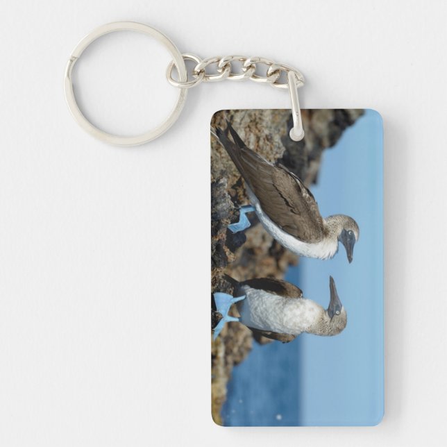 Galapagos Islands, Isabela Island Key Ring (Front)