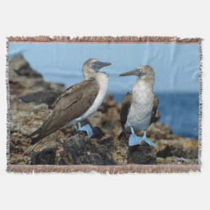 Galapagos Islands, Isabela Island Throw Blanket
