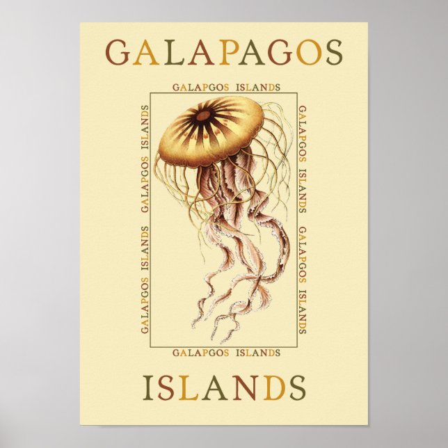 Galapagos Islands Jellyfish Poster (Front)
