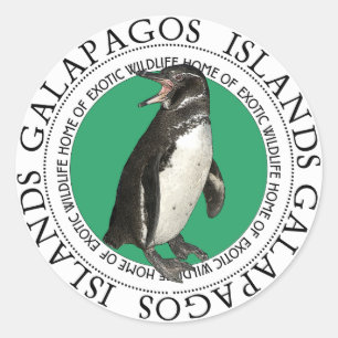 Galapagos Islands Penguin Classic Round Sticker