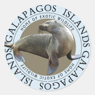 Galapagos Islands Seals Sea Lions