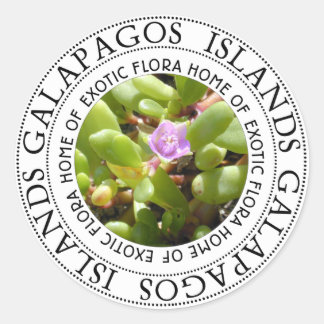 Galapagos Islands Sesuvian Plant Classic Round Sticker