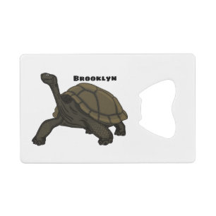Galapagos land tortoise illustration