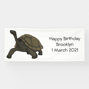 Galapagos land tortoise illustration  banner