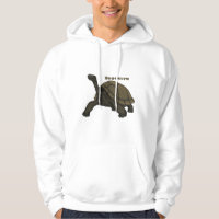 Galapagos land tortoise illustration