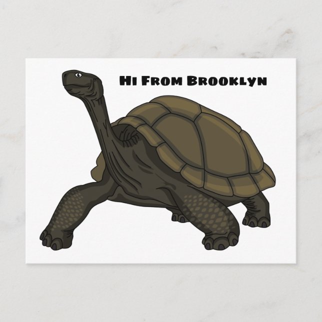 Galapagos land tortoise illustration  postcard (Front)
