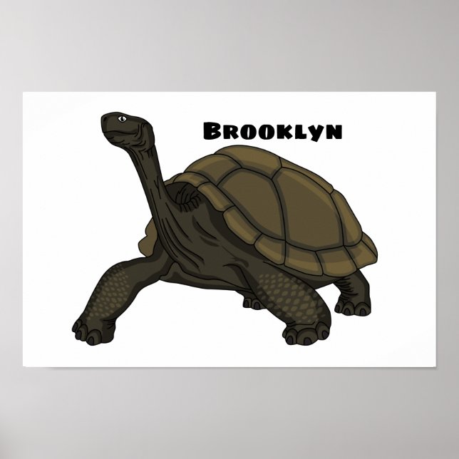 Galapagos land tortoise illustration poster (Front)