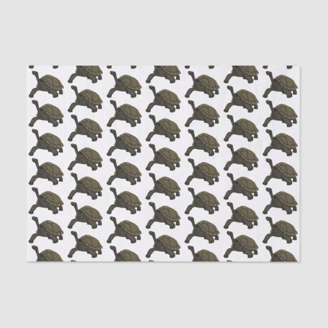 Galapagos land tortoise illustration tissue paper (Front)