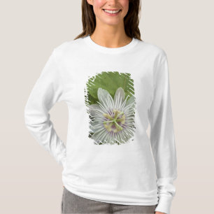 Galapagos Passion Flower Passiflora foetida T-Shirt