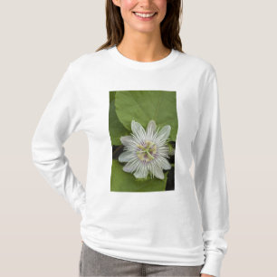 Galapagos Passion Flower Passiflora foetida T-Shirt