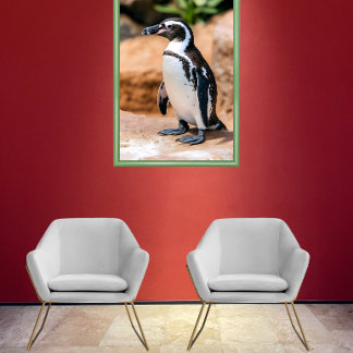 Galapagos penguin  poster