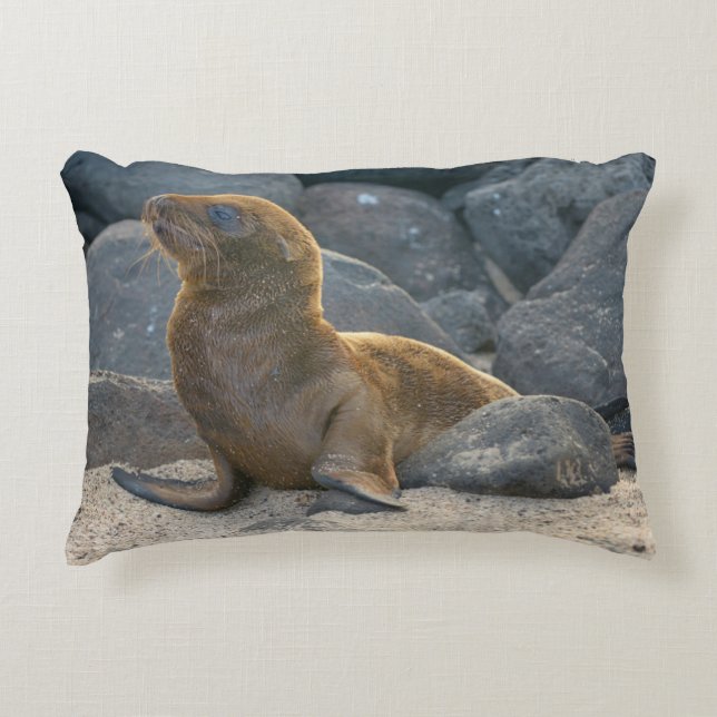 Galapagos Sea Lion Decorative Cushion (Front)