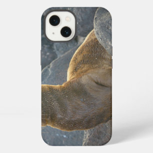 Galapagos sea lion iPhone 13 case