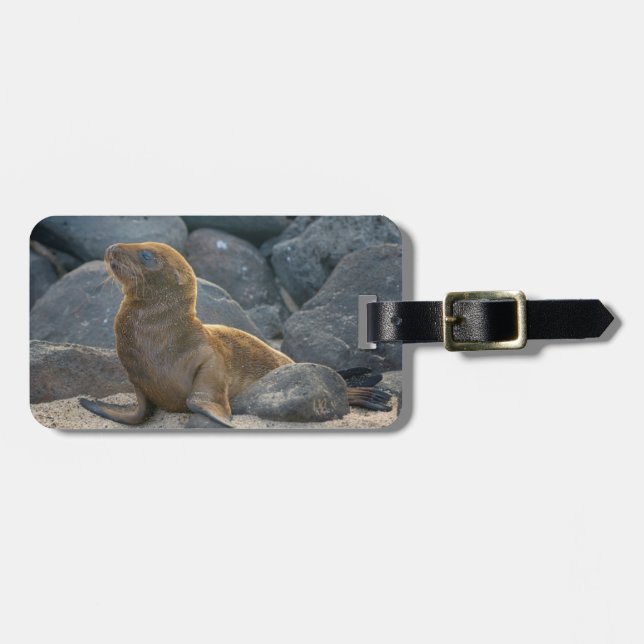 Galapagos Sea Lion Luggage Tag (Front Horizontal)