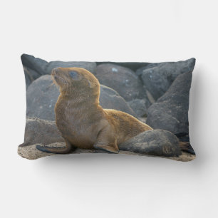 Galapagos Sea Lion Lumbar Cushion