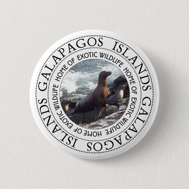 GALAPAGOS SEALS ROUND 6 CM ROUND BADGE (Front)