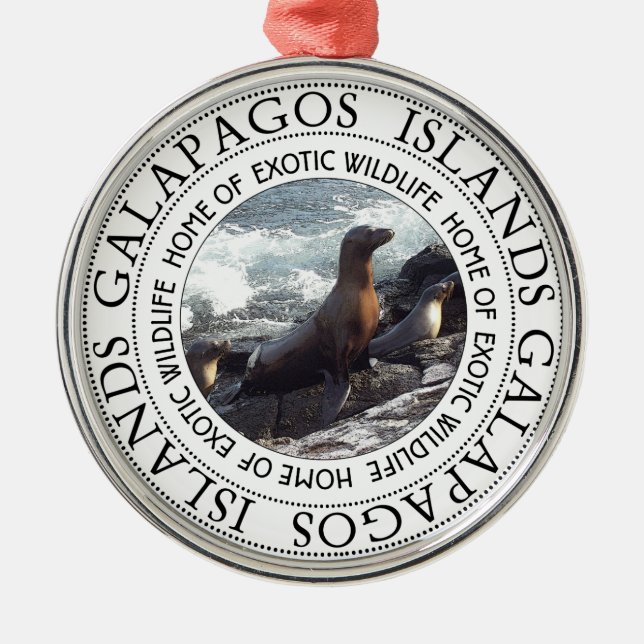 GALAPAGOS SEALS ROUND METAL TREE DECORATION (Front)