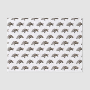 Galapagos tortoise cartoon illustration tissue paper