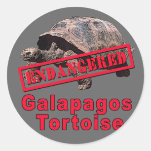 Galapagos Tortoise  Endangered Art Tshirts Classic Round Sticker