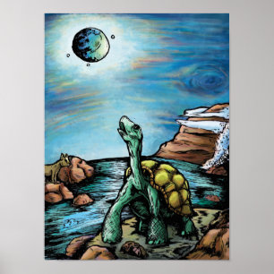 Galapagos Tortoise Poster