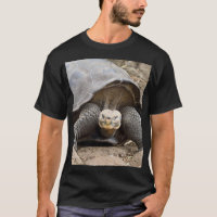Galapagos Tortoise