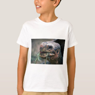 Galapagos Turtle, Galapagos Islands T-Shirt