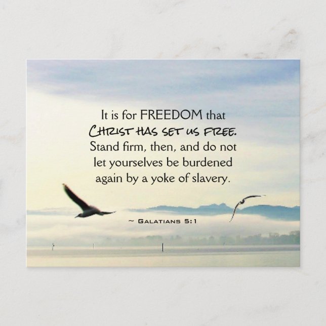 Galatians 5:1 For FREEDOM Christ has set us free Postcard (Front)