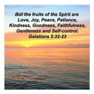 GALATIANS FRUIT OF THE SPIRIT BIBLE VERSE PHOTO PRINT