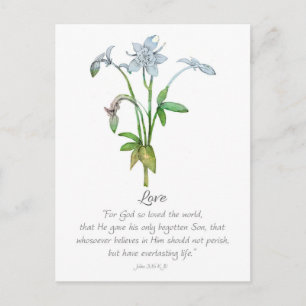 Galatians Fruit of the Spirit Love John 3 16  Postcard