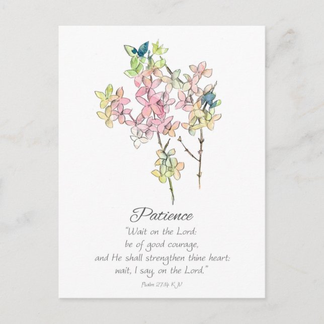 Galatians Fruit of the Spirit Patience Scripture  Postcard (Front)