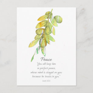Galatians Fruit of the Spirit Peace Olive Branch Postcard