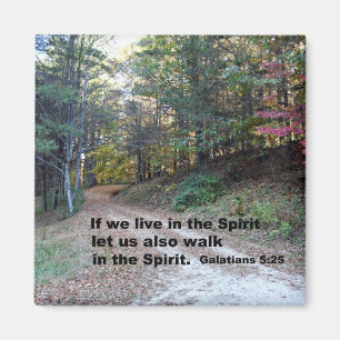 Galations 5:25 If we live in the Spirit... Magnet