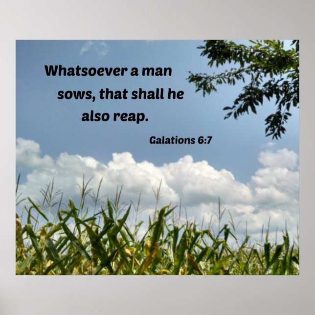 Galations 6:7 Whatsoever a man soweth... Poster (Front)