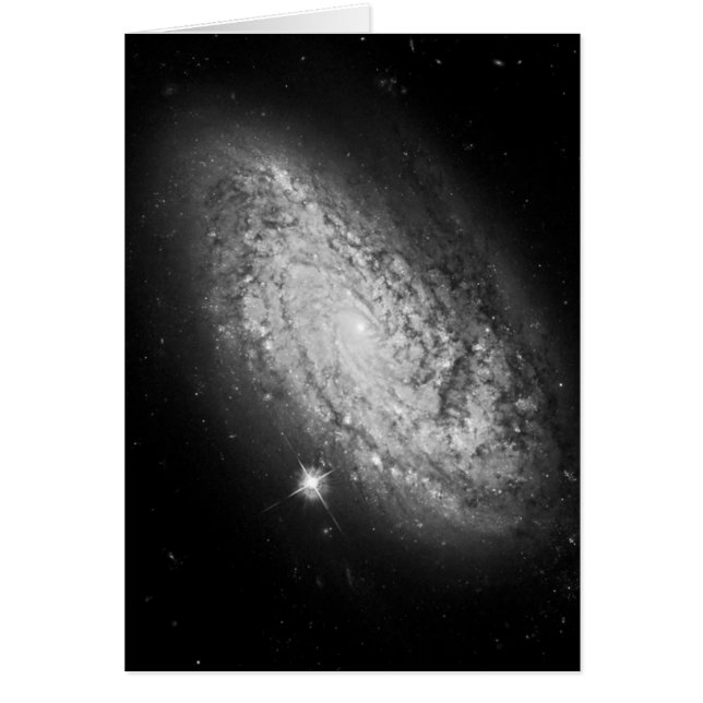 Galaxy Andromeda Milky Way Universe Space Stars (Front)