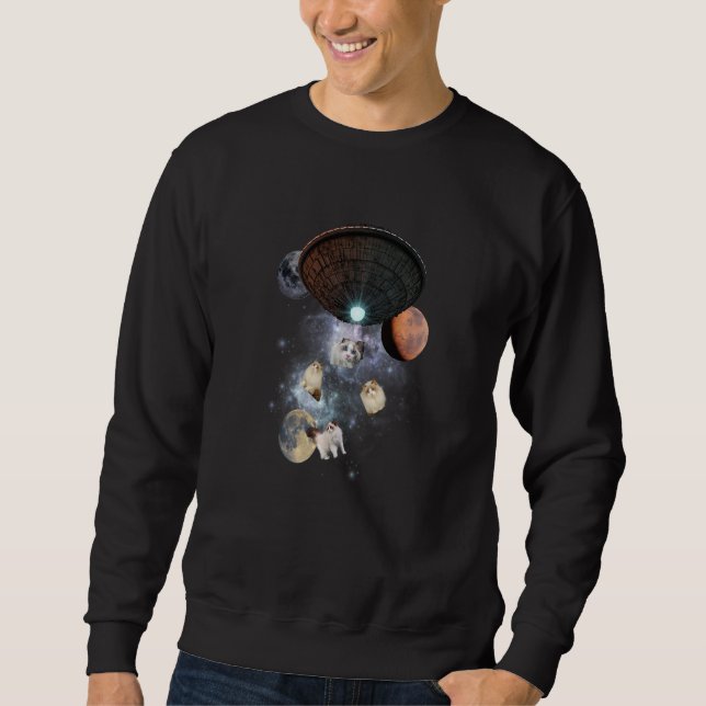 Galaxy Cat Himalayan Ragdoll Birman Cool Cat And K Sweatshirt (Front)