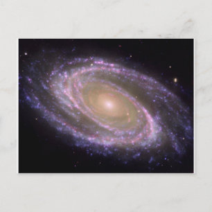 Galaxy Multiwavelength M81 Postcard